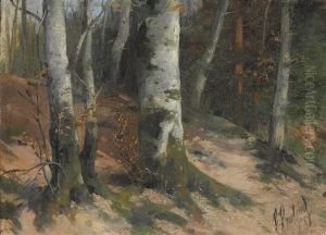 Birkenwald Birkenwald