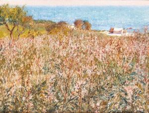 Nature En Fleurs A Gammarth