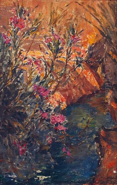 Fleurs A Colomb-bechar - view 1