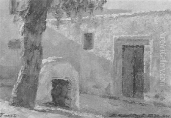 Tunis - view 1
