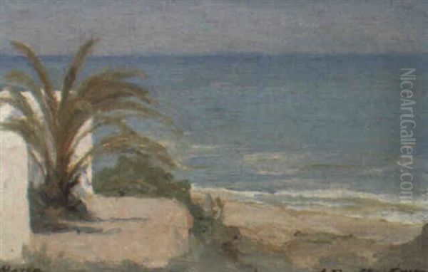 La Marsa - view 1