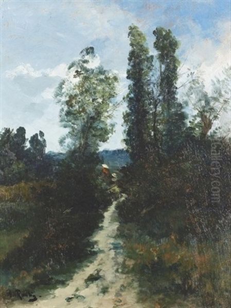 Sommerlicher Heideweg - view 1