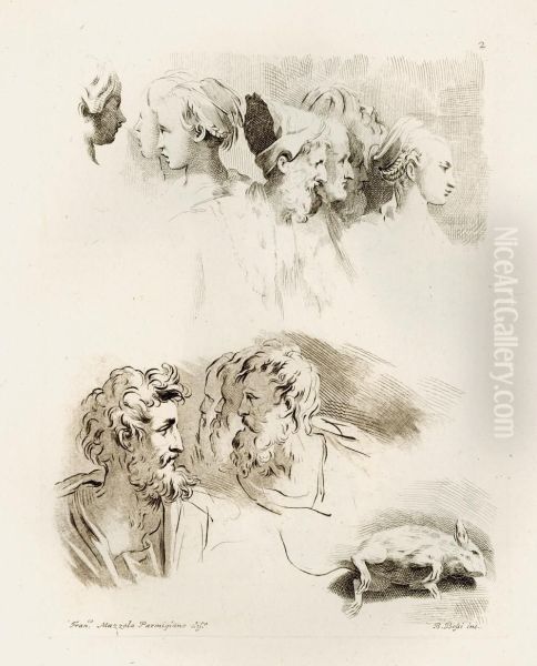 Raccolta Di Disegni Di Parmigianino - view 1