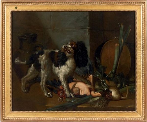 Chien Dans Une Cuisine - view 1