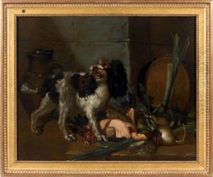 Chien Dans Une Cuisine Chien Dans Une Cuisine
