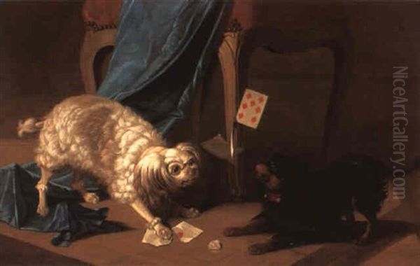 A White Poodle And A Blenheim Spaniel Fighting Over A Game Of Cards - view 1