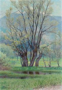Rhoneebene Mit Tumpel Und Weidenden Schafen by Frederic Rouge