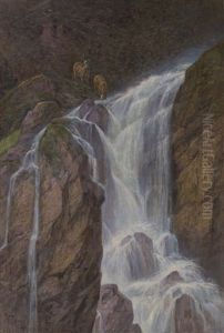 Chamois Et Cascade by Frederic Rouge