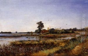Rizieres Au Tonkin
