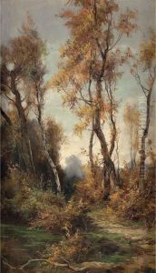 Bosco by Francesco Bosso
