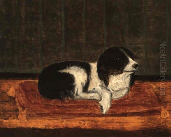Chien Couche Sur Son Coussin - view 1
