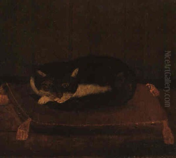 Chat Couche Sur Son Coussin - view 1