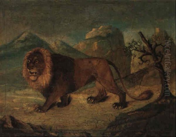 Lion Marchant Dans Le Desert - view 1