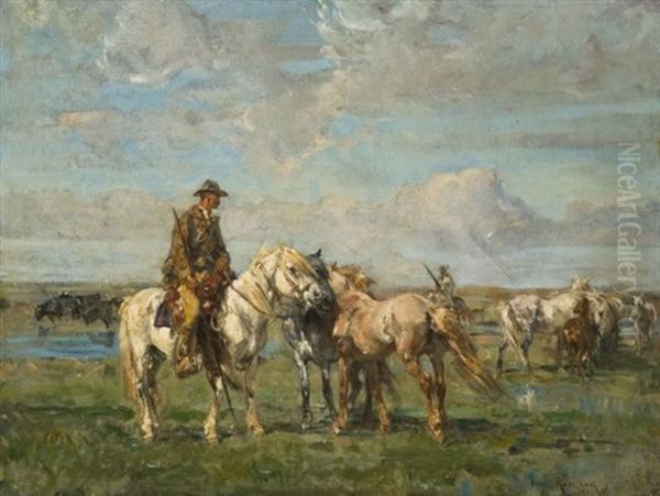 Cavaliers Camarguais - view 1