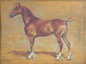 Equine Study Equine Study