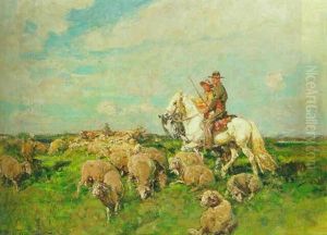 En Camargue: Chevaux Et Moutons