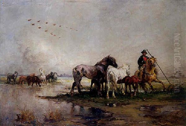 Les Chevaux En Camargue - view 1