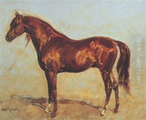 An Arab Stallion