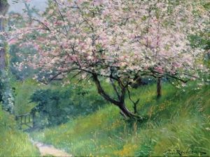 Cherry Blossom