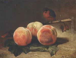 Peches Et Rouge-gorge