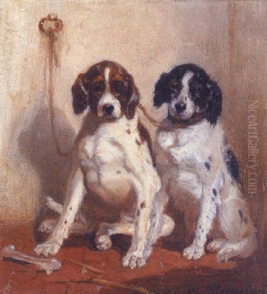 Two Spaniels - view 1