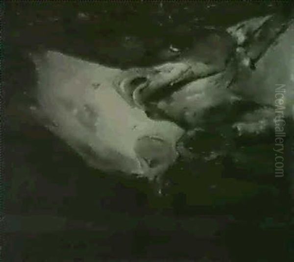 Nature Morte Aux Poissons - view 1