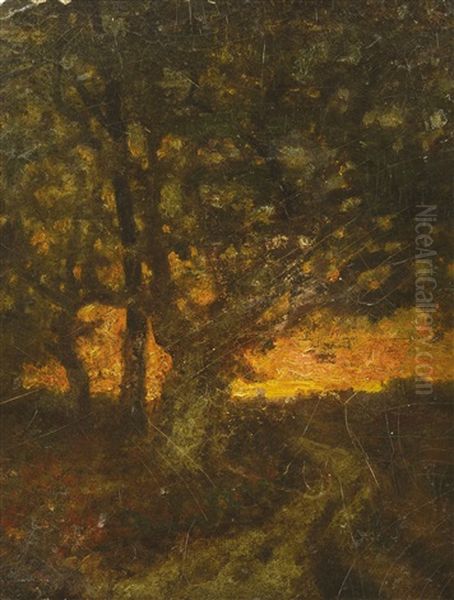 Lisiere De Bois - view 1