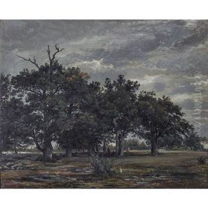 Waldlandschaft Mit Kunstler Beim Zeichnen