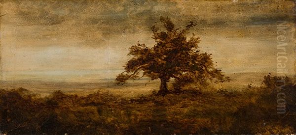 Weite Landschaft Mit Baum - view 1
