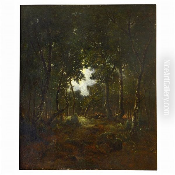 Clair De Lune En Foret De Fontainebleau (la Butte Aux Lapins) - view 1