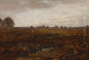 Environs De Bressuire (vendee)