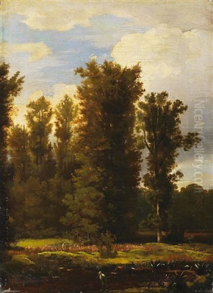 Waldlandschaft Mit Weiher - view 1