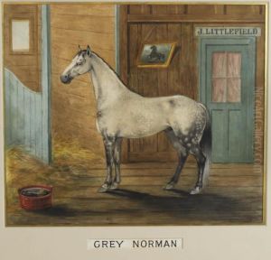 Grey Norman by Frederick James Boston