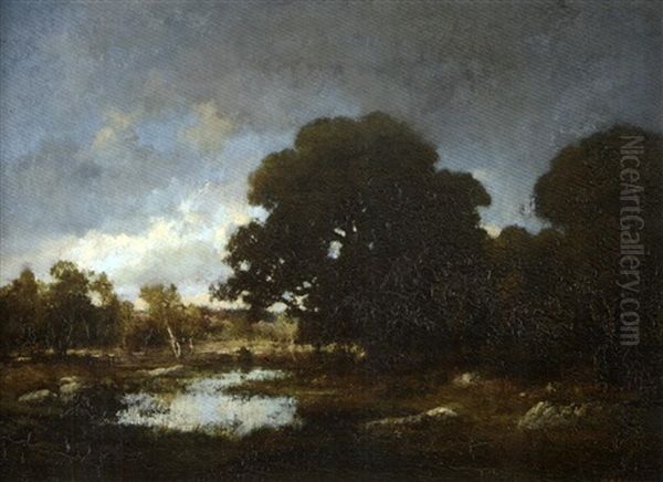 Mare A Fontainebleau - view 1