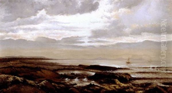 Tidal Shore - view 1