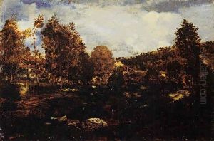 L'etude Des Marais De Tiffauge En Vendee by Theodore Rousseau