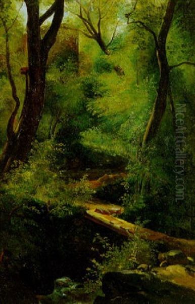 Petit Ruisseau En Foret - view 1