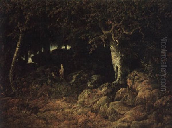 Le Chene De Roche, Foret De Fontainebleau - view 1