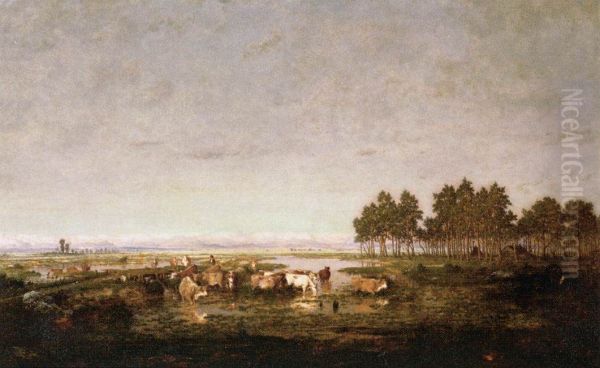 Marsh In The Landes - view 1