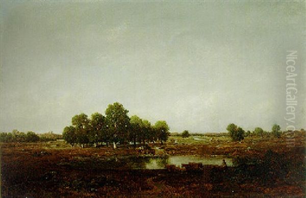 Paysage Marecageux - view 1