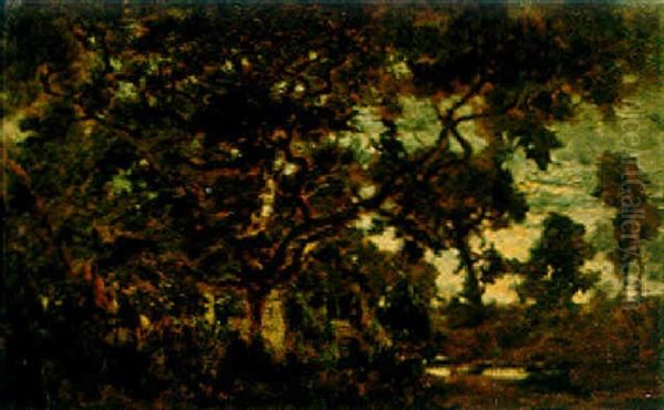 Edge Of A Forest, Fontainebleau - view 1