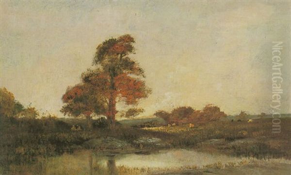 La Mare Aux Grands Arbres - view 1