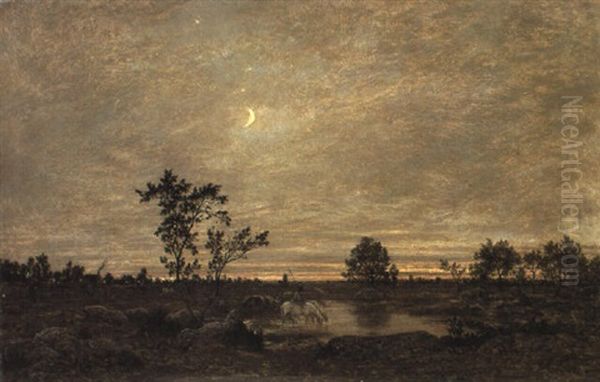 La Plaine Rocheuse De Barbizon - view 1