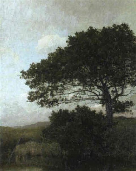 Am Flus - view 1