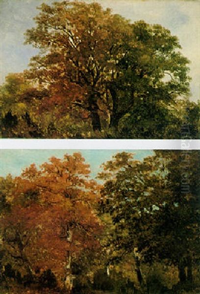 Autumnal Wooded Landscape - view 1