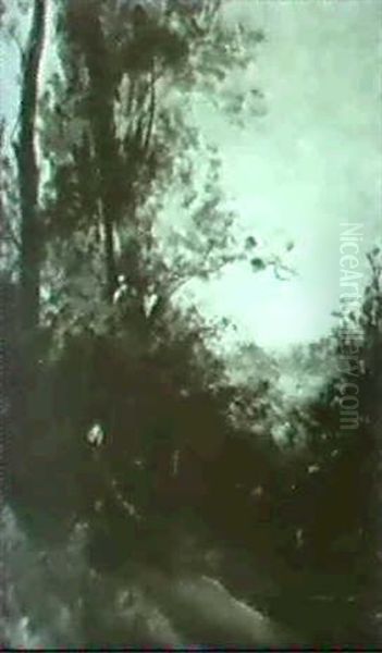 Waldlandschaft. - view 1