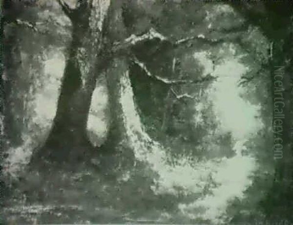 Forest Interior - view 1
