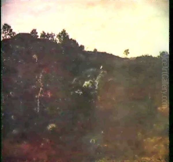 "sentier Descendant D'un Monticule" (foret De Fon- Tainebleau) - view 1