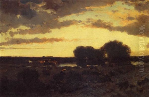 Abendstimmung Auf Der Weide - view 1