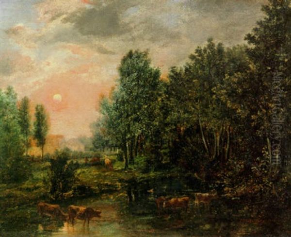 A Woodland Pond At Sunset - view 1